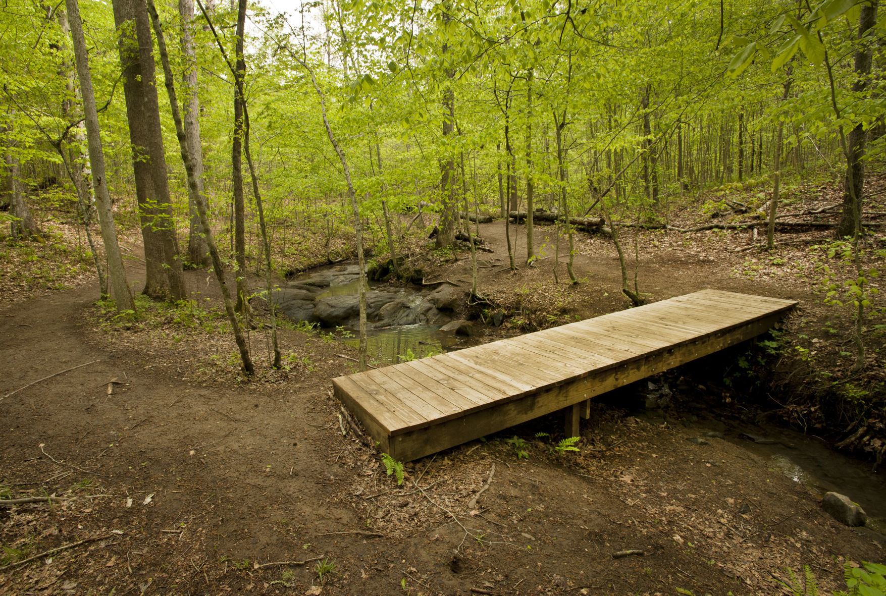 Cascades Preserve